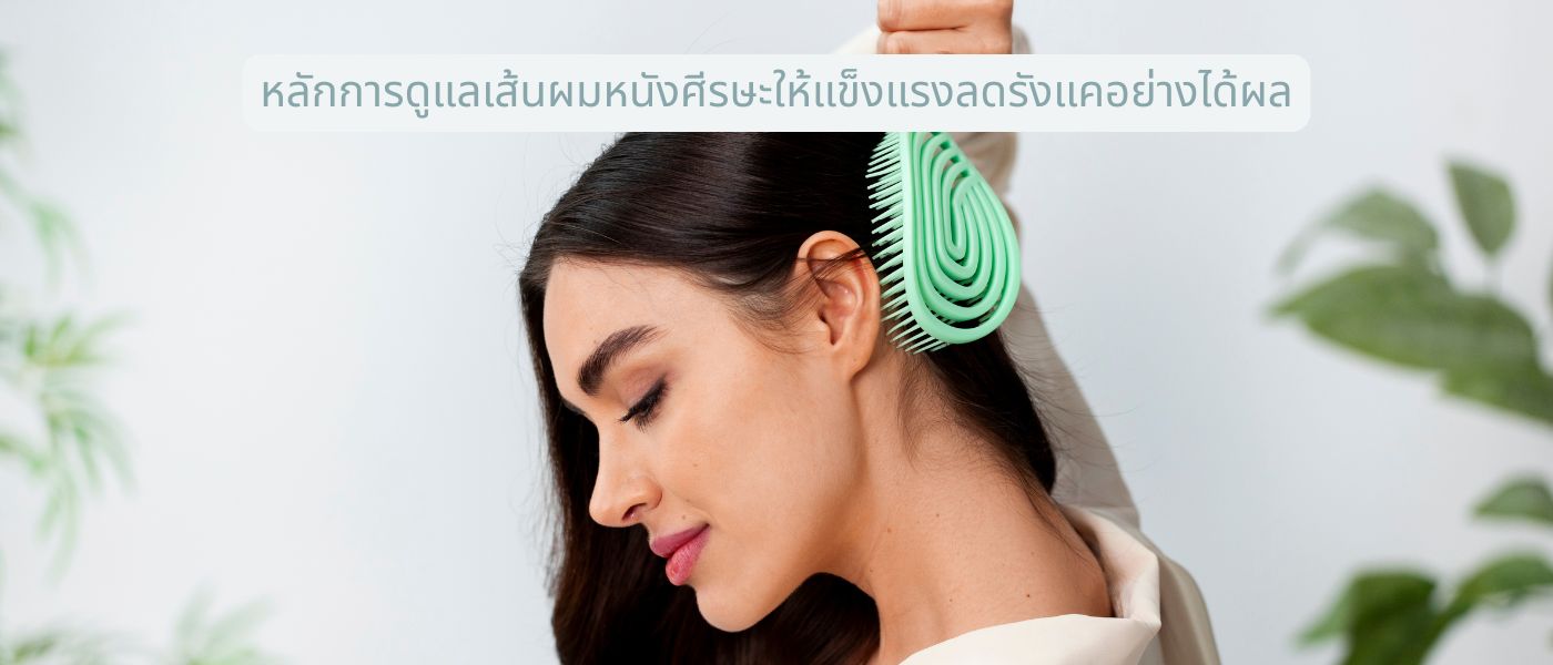 หลักการดูแลเส้นผมหนังศีรษะให้แข็งแรงลดรังแคอย่างได้ผล